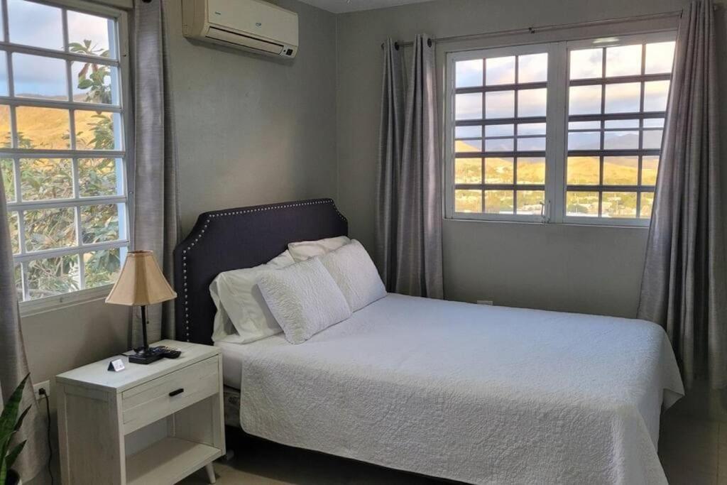 Coamo Beautiful House, Ac, 10Min Coamo Hot Springs Apartment Exterior foto